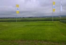 DLG Feldtage trial plot.jpg